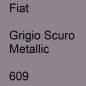 Preview: Fiat, Grigio Scuro Metallic, 609.